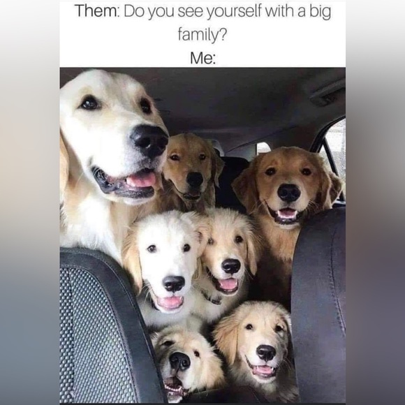 Meet your Posher, Bethie - Picture 14 of 16